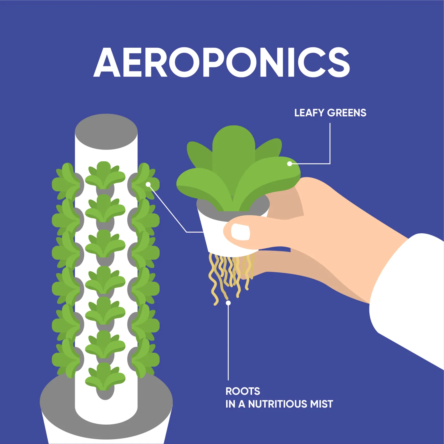 Transforming Agricultural Practices: By Exploring the Advantages of Aeroponics